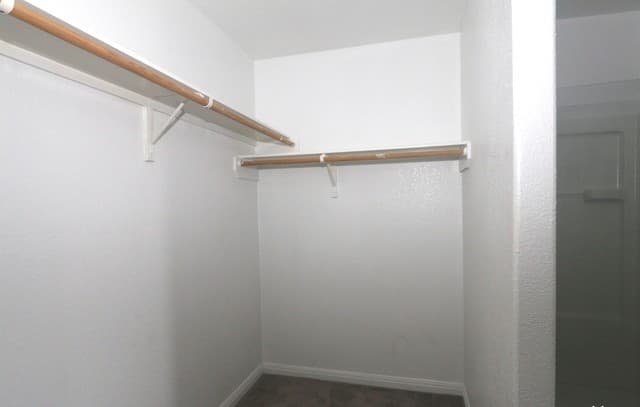 5810  Wildcat Canyon, San Antonio, TX 78252 — photo 16