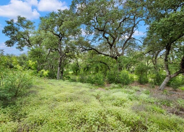 11  Viewpark, San Antonio, TX 78230 — photo 23