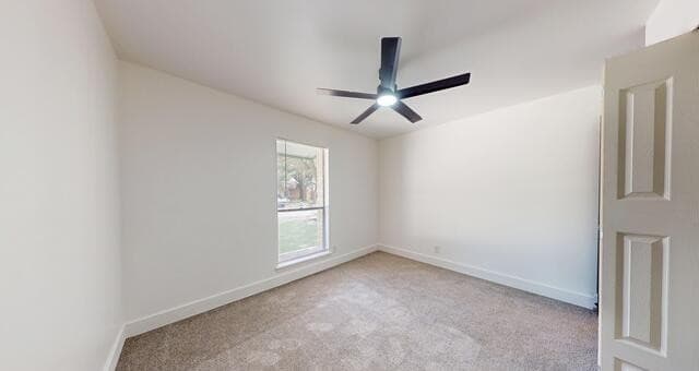 318  Renee, Converse, TX 78109 — photo 16