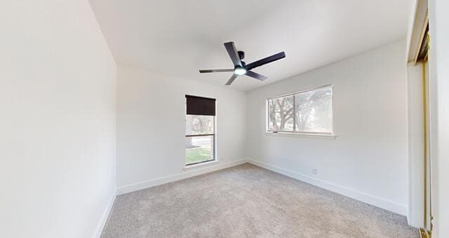 318  Renee, Converse, TX 78109 — photo 20