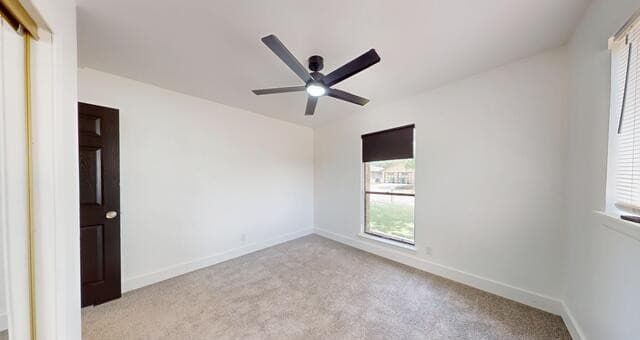318  Renee, Converse, TX 78109 — photo 21