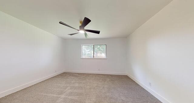 318  Renee, Converse, TX 78109 — photo 24