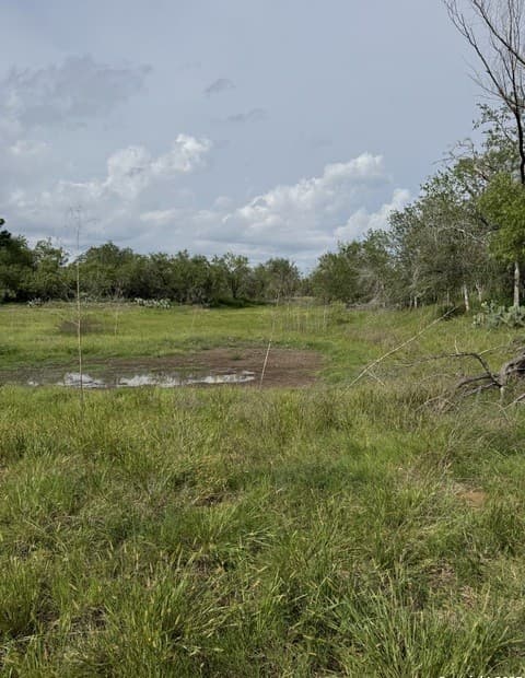 TBD E Gates Valley, Poteet, TX 78065 — photo 10