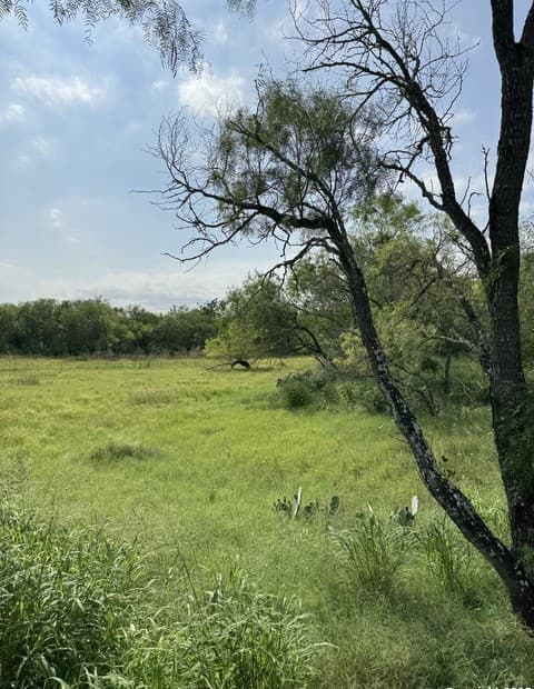 TBD E Gates Valley, Poteet, TX 78065 — photo 3