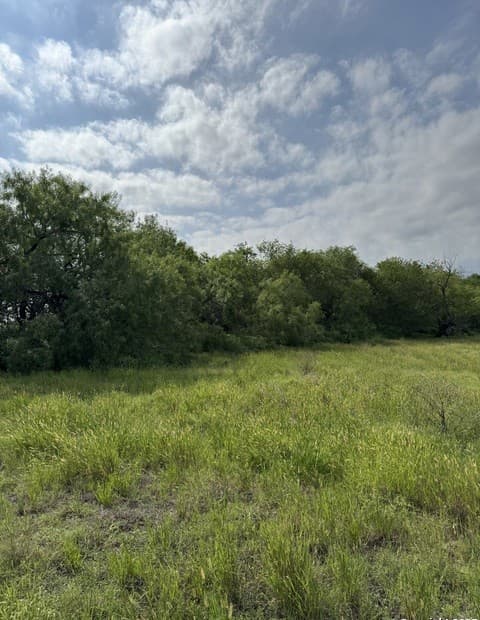 TBD E Gates Valley, Poteet, TX 78065 — photo 6