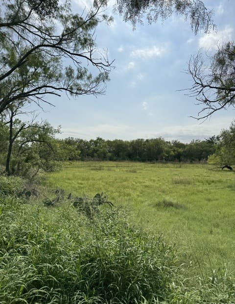 TBD E Gates Valley, Poteet, TX 78065 — photo 7