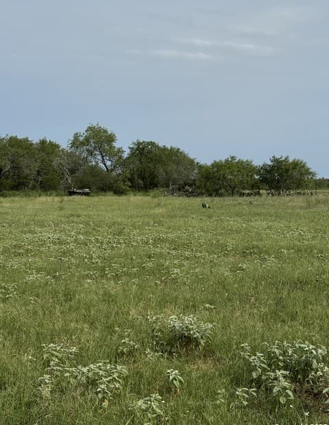 TBD E Gates Valley, Poteet, TX 78065 — photo 9