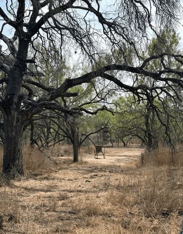 TBD  Iuka Rd, Poteet, TX 78065 — photo 4