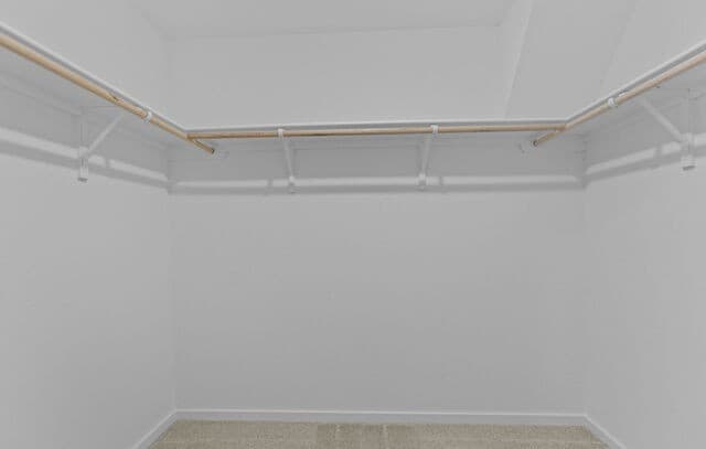 13827  Chital Chase, San Antonio, TX 78253 — photo 21