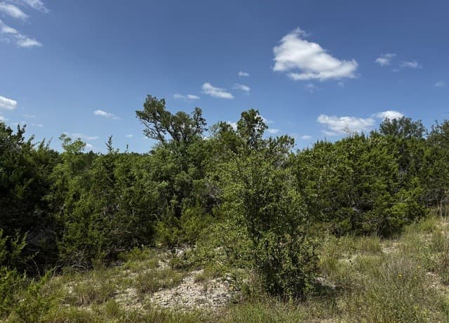 LOT 2  Hillside Drive, Spring Branch, TX 78070 — photo 9