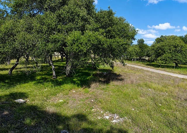 32670  Fm 3351, Boerne, TX 78006 — photo 5