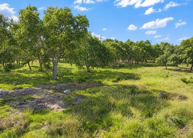32670  Fm 3351, Boerne, TX 78006 — photo 7