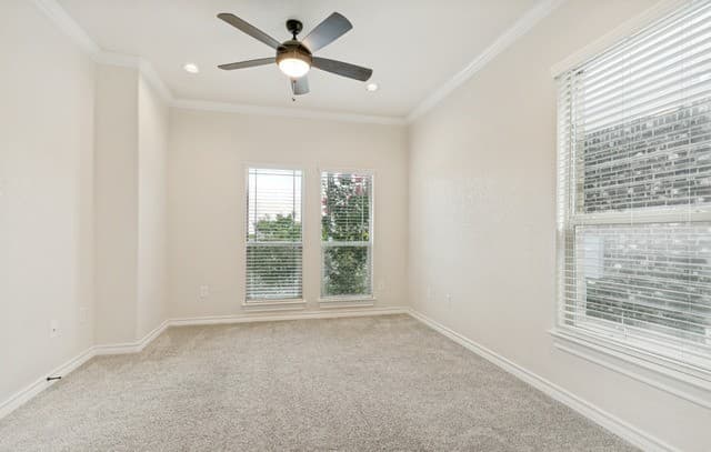6923  Comanche Cougar, San Antonio, TX 78233 — photo 13