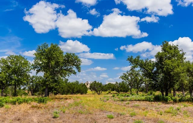 LOT 37  Boot Ranch Circle