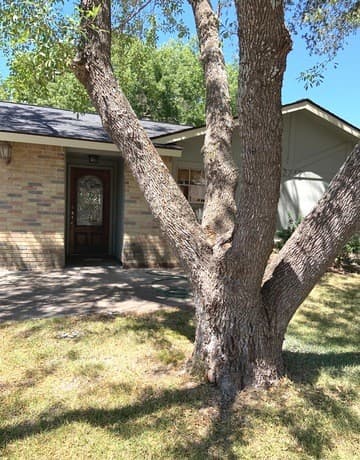12242  Brownstone St, Live Oak, TX 78233 — photo 2