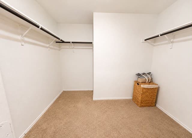 13810  Haystack Rdg, San Antonio, TX 78252 — photo 12