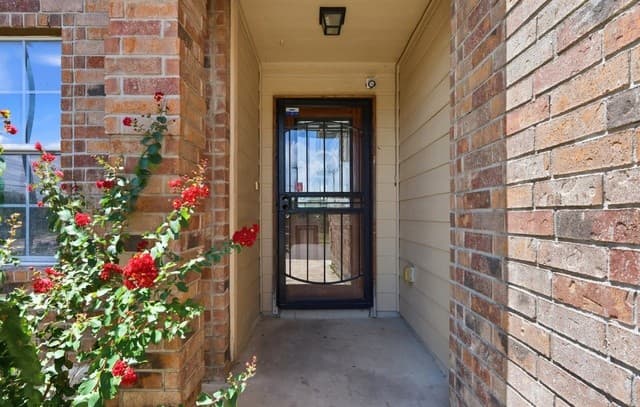 255  Hallie Cove, San Antonio, TX 78227 — photo 21