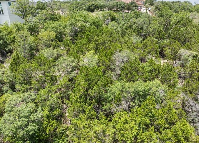 10030  Ivory Cyn, San Antonio, TX 78255 — photo 13