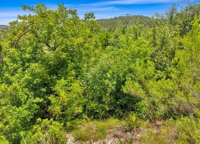 10030  Ivory Cyn, San Antonio, TX 78255 — photo 18