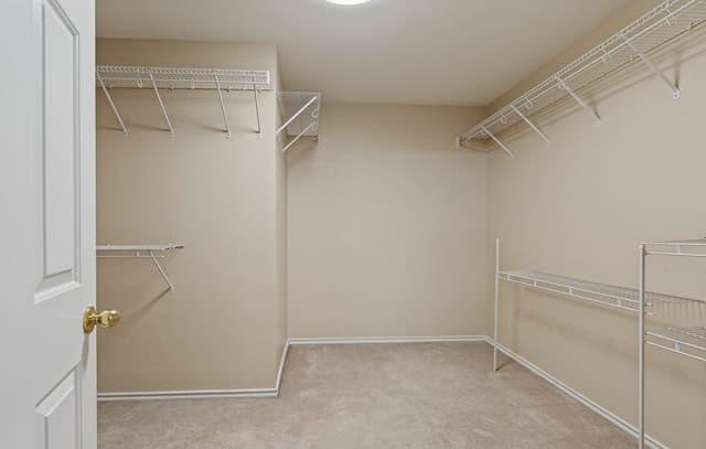 153  Hanging Moss, Cibolo, TX 78108 — photo 13