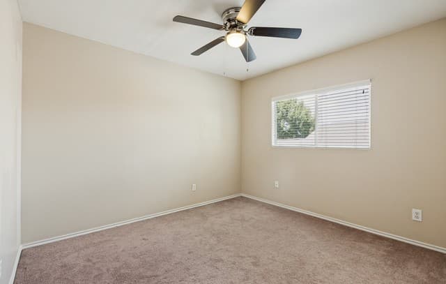 153  Hanging Moss, Cibolo, TX 78108 — photo 17