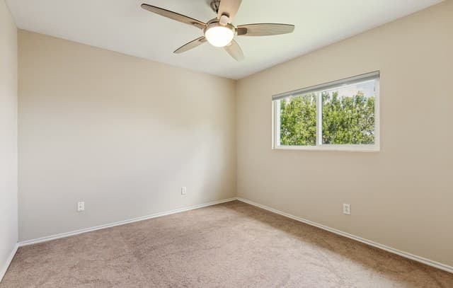 153  Hanging Moss, Cibolo, TX 78108 — photo 18