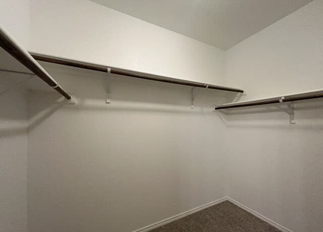13531  Lily Lane, St Hedwig, TX 78152 — photo 19