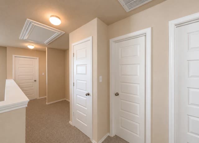13531  Lily Lane, St Hedwig, TX 78152 — photo 23