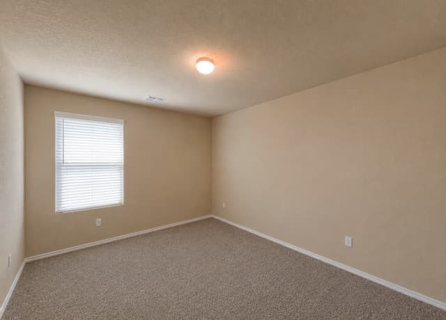 13531  Lily Lane, St Hedwig, TX 78152 — photo 24