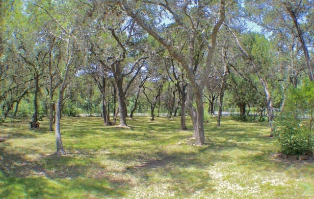 10950  Paloma, Helotes, TX 78023 — photo 3