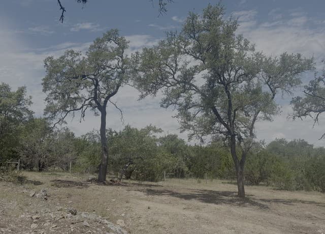 LOT 43  Clubs, Boerne, TX 78006 — photo 6