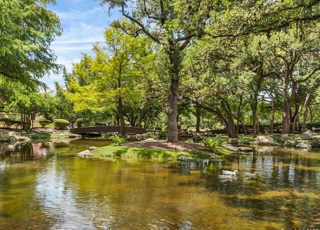 7  Dominion Meadows, San Antonio, TX 78257 — photo 19