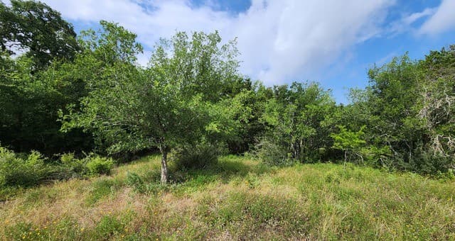 13505  Frenchmans Cv, San Antonio, TX 78253 — photo 2