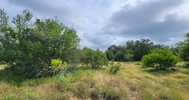 13505  Frenchmans Cv, San Antonio, TX 78253 — photo 3