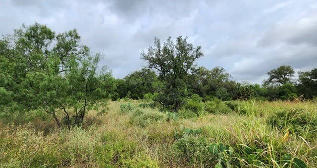13505  Frenchmans Cv, San Antonio, TX 78253 — photo 5