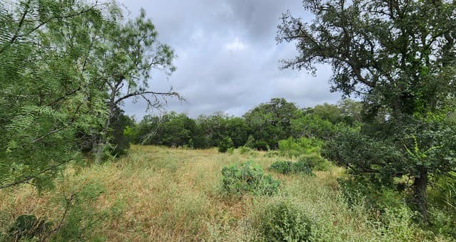 13505  Frenchmans Cv, San Antonio, TX 78253 — photo 6