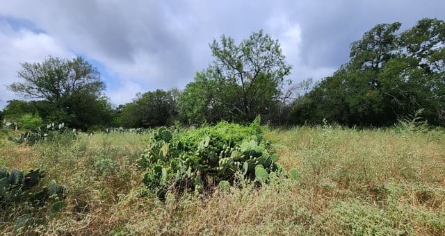 13505  Frenchmans Cv, San Antonio, TX 78253 — photo 7