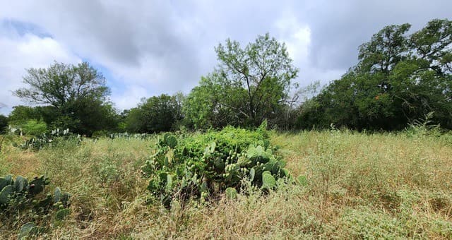 13505  Frenchmans Cv, San Antonio, TX 78253 — photo 8