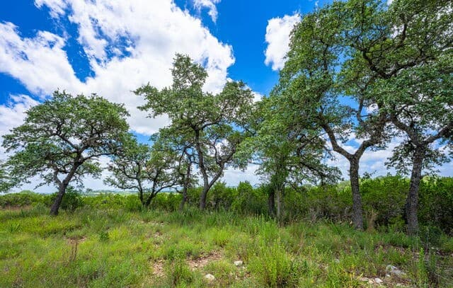 4568  Fm 2828, Bandera, TX 78003 — photo 10