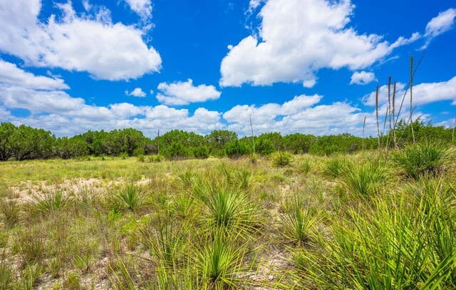 4568  Fm 2828, Bandera, TX 78003 — photo 4