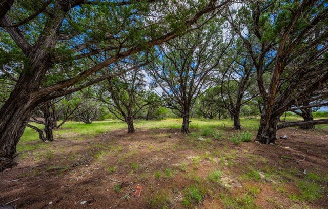 4568  Fm 2828, Bandera, TX 78003 — photo 5