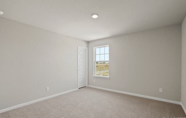 8806  Black Oak Drive, Elmendorf, TX 78112 — photo 20