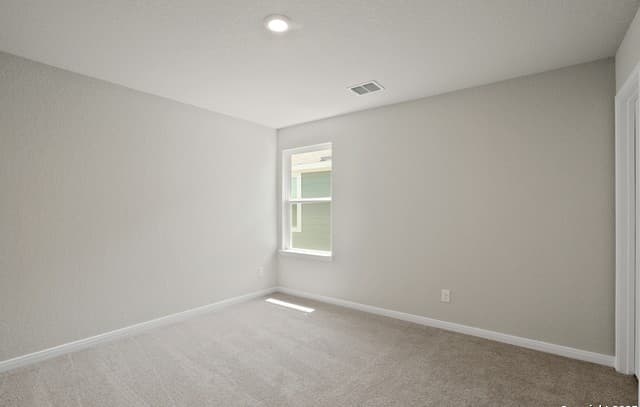8806  Black Oak Drive, Elmendorf, TX 78112 — photo 24