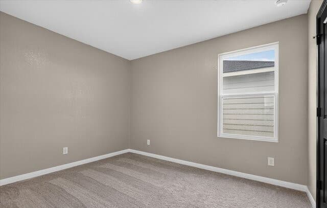 10408  Bean Goose, Converse, TX 78109 — photo 23