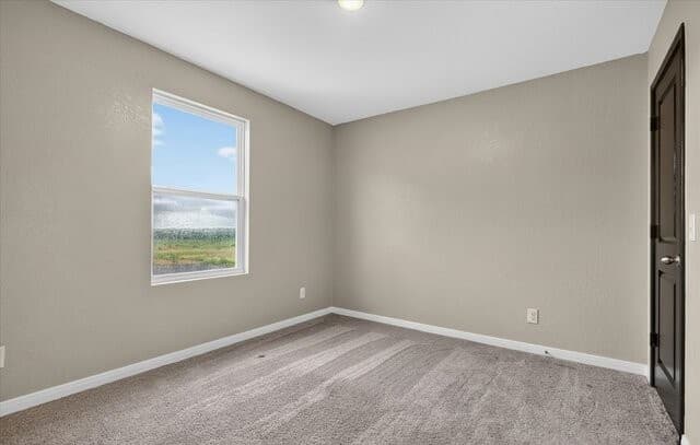 10408  Bean Goose, Converse, TX 78109 — photo 25