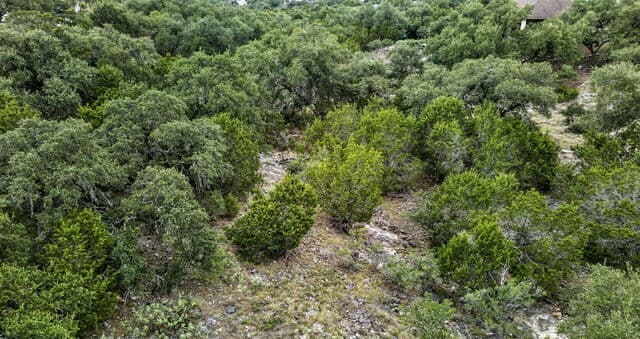 1251  Ace Trl, New Braunfels, TX 78132 — photo 8