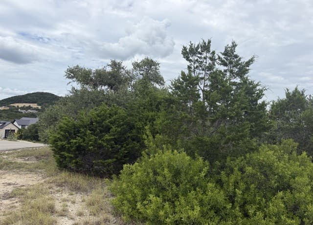 187  Private Road 1712, Mico, TX 78056 — photo 7