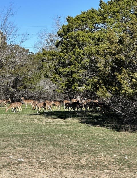 0  Deerwood