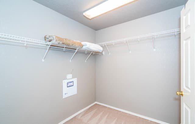 6703  Biscay Bay, San Antonio, TX 78249 — photo 17