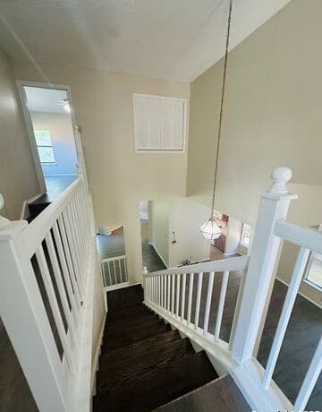 3235  Tree Grove, San Antonio, TX 78247 — photo 19
